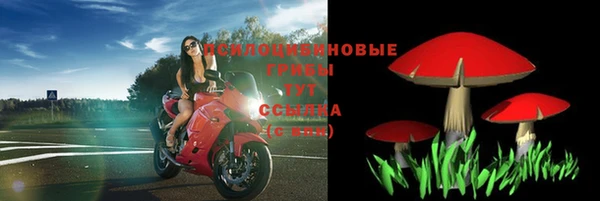 ПСИЛОЦИБИНОВЫЕ ГРИБЫ Белокуриха