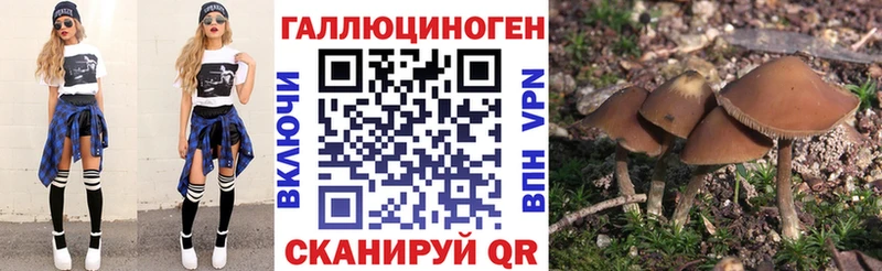 хочу   Красково  Галлюциногенные грибы Psilocybe 